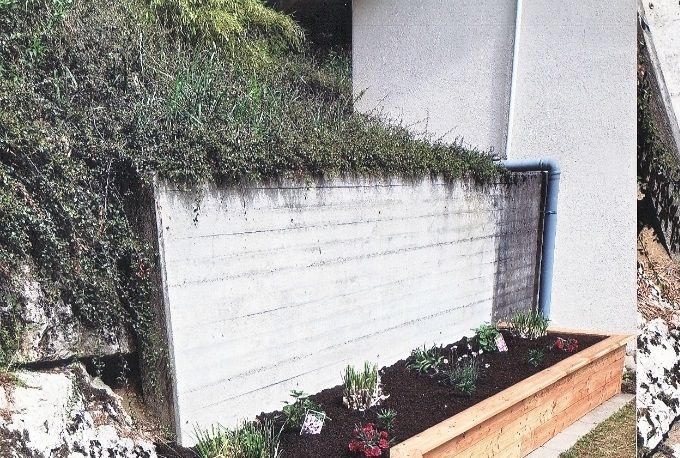Bacs a plantes