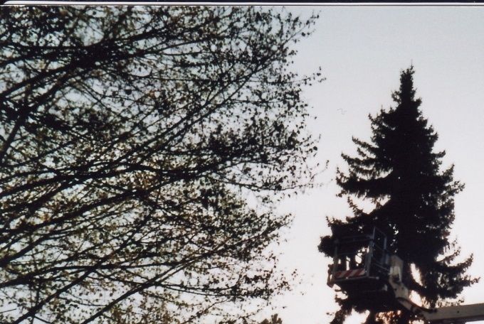 Abattage avec nacelle
Bäum fällen mit Hebebuhne